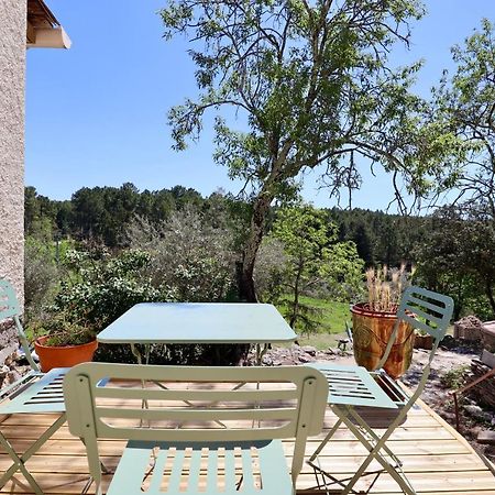 Le Mas Des Rouquets - Avec Piscine Et Jardin Anduze Exteriör bild